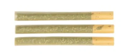 Saltspring Magic - Hella Jella Pre Rolls - 3 x 0.5g