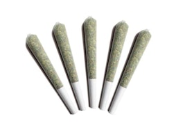 Gladstone - Arctic Sun Pre-Rolls - 5 x 0.5g