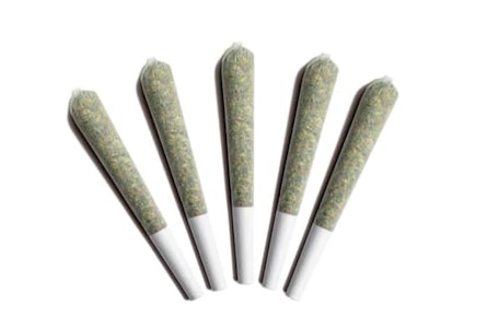 Gladstone - Gladstone - Arctic Sun Pre-Rolls - 5 x 0.5g