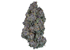 TRIANGLE QUEEN ORGANIC PETITES (LTO)