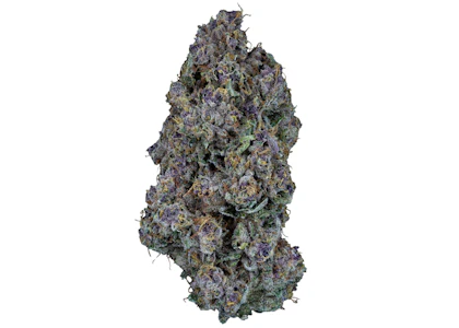 SWEETGRASS ORGANIC CANNABIS - TRIANGLE QUEEN ORGANIC PETITES (LTO)