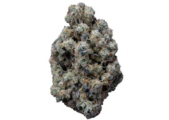 CRUNCH BERRIES ORGANIC PREMIUMS