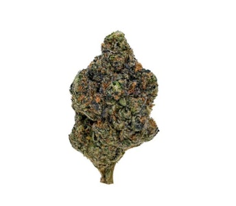 1964 - 1964 - Gasolina 7g