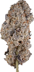 3rd Coast Genetics - 3rd Coast Genetics - The Dark Side | 14g