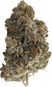 Pistol and Paris - Pistol and Paris - Gas Pack (Diablo) | 7g