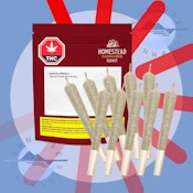 BANGTAIL - BC ORGANIC  - HOMESTEAD - 10X0.5G