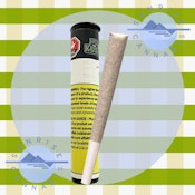 MACH 1 - JUST KUSH - 1G