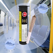 GHOST TRAIN HAZE - STATION HOUSE - 1X0.5G