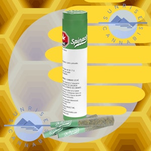 Spinach - SOUR CHEM - SPINACH - 3X0.5G