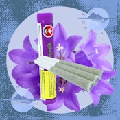 GRANDDADDY GELATTI - ORCHARD - 3X0.5G