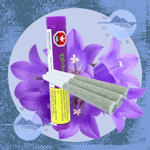 Orchard - GRANDDADDY GELATTI - ORCHARD - 3X0.5G