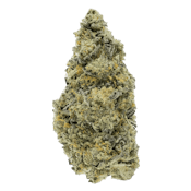 Woody Nelson | Dark Rainbow Craft | 3.5 g