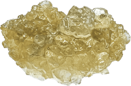 Tribal - Neon Sunshine Live Resin | 1g