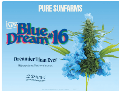 Pure Sunfarms - Pure Sunfarms Blue Dream #16 3.5g Dried Flower