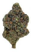 Gasolina  7g