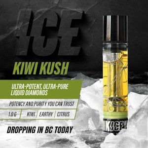 Debunk - Debunk ICE Kiwi Kush Liquid Diamond 1.0g Prefilled Vape Cartridge