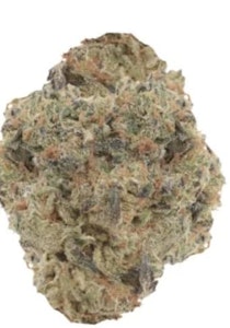 BUZZ - Agent Orange LTO 14g