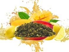 Dab Bods Sour Mango 2g