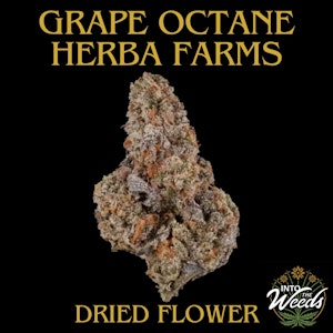 Herba Farms - Grape Octane - 7g