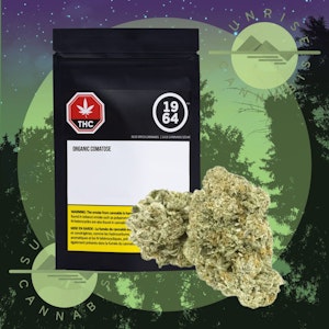 1964 - COMATOSE - BC ORGANIC - 1964 - 1G