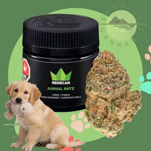 Redecan - ANIMAL RNTZ - REDECAN - 1G