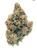 ALL NATIONS | TROPIC THUNDER - 3.5g