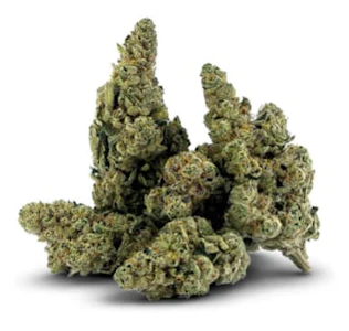 BC 1/4 - BC 1/4 | LOBSTER ROLLZ - 7g