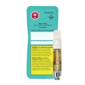 1G MINT CHIP CURED RESIN