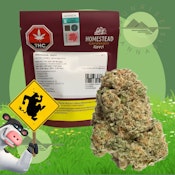 INDICA BANDWAGON - BC ORGANIC - HOMESTEAD - 7G