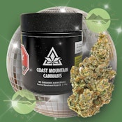 DANCEHALL - COAST MOUNTAIN - 14G