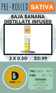 Dab Bods - DAB BODS - 3PK BAJA BANANA DISTI INFUSED PRS