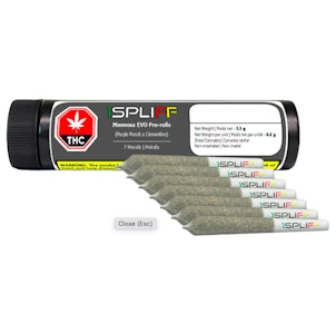 1Spliff - Mmmosa Evo Pre-Rolls | 7x0.5g