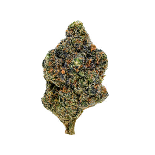 7g Gasolina