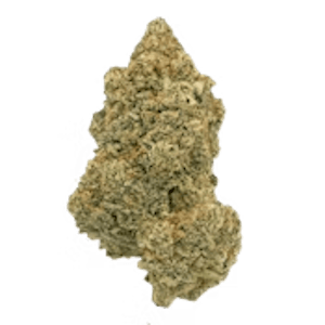 Homestead - 28g Sativa Rotational