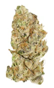 Platinum Pave Indica Flower - 7g