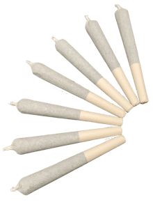 Papa Joes Organics - 3.5g-Chonky AF Pre-rolls