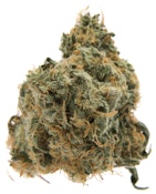 Papa Joe - Romulan 7g