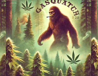 Sassy Weed - Gasquatch - 7g