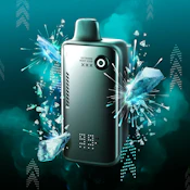 Extreme Mint Iced - 80K Puff - 20mg - FLAVOUR BEAST - ALPHA