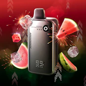 Weekend Watermelon Iced - 80K Puff - 20mg - FLAVOUR BEAST - ALPHA