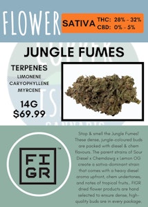 FIGR - 14G - FIGR - JUNGLE FUMES