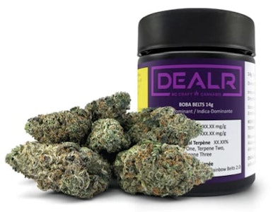 DEALR - Boba Belts - 14g