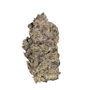 Pistol and Paris - GAS BASKET LTO - 7G