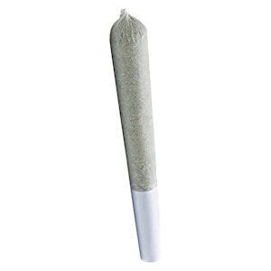 Wildlife Cannabis - Foxy Haze Face Pre-Roll | 10x0.3g