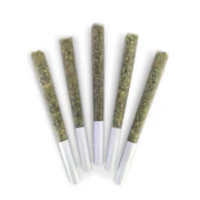 Dealr - El Changuito Pre Rolls - 5 x 0.5g