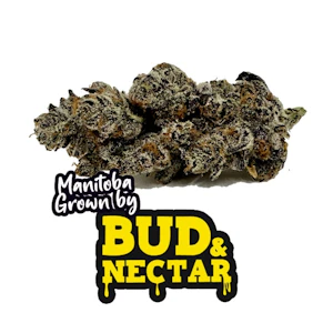 BUD AND NECTAR - DIPZ 7G