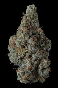 Supernova Farms - Road Rage OG 3.5g Dried Flower by Supernova Farms