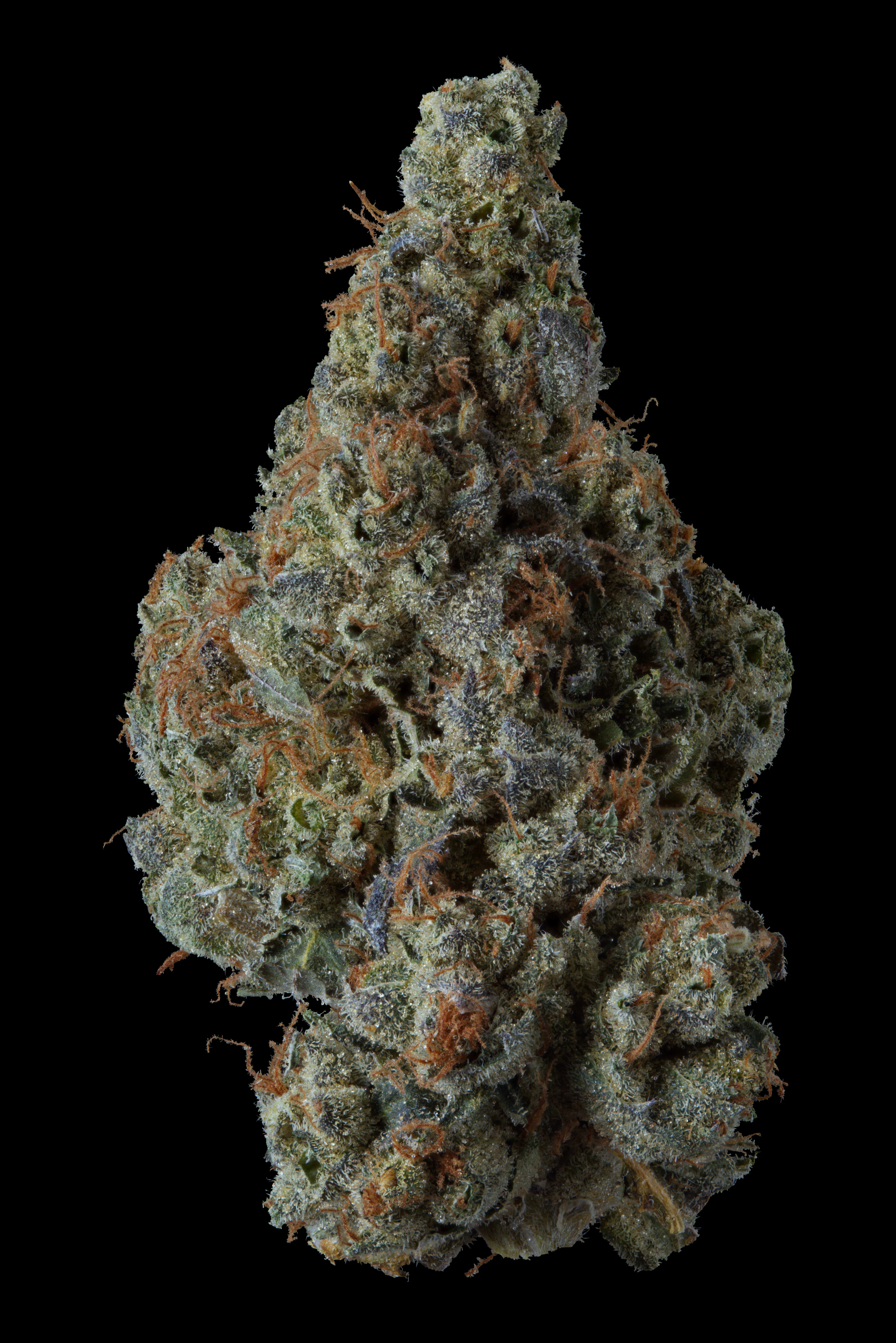 Supernova Farms - Road Rage OG 3.5g Dried Flower by Supernova Farms Main Image