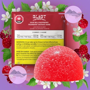 BLAST - ANIMAL STYLE SOUR WILD RASPBERRY  ROSIN GUMMY - BLAST