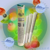 FORMULA 55 KIWI-BERRY - TERRA LABS - 3X0.5G